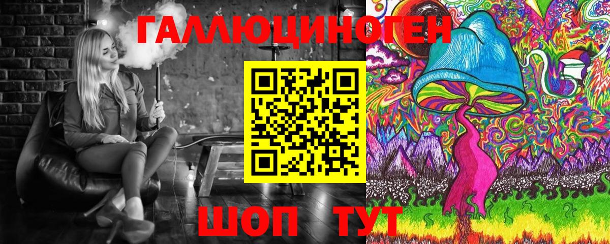 Псилоцибиновые грибы Psilocybe  Вход с VPN  Буйнакск 
